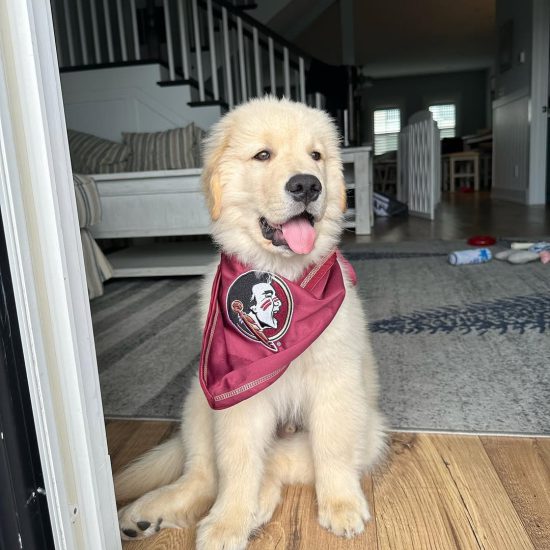 sadie 10 f